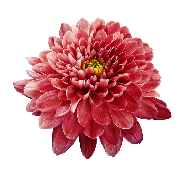 shutterstock-626749994