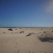DSC01203