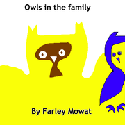 Owls