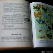 IMG-5400