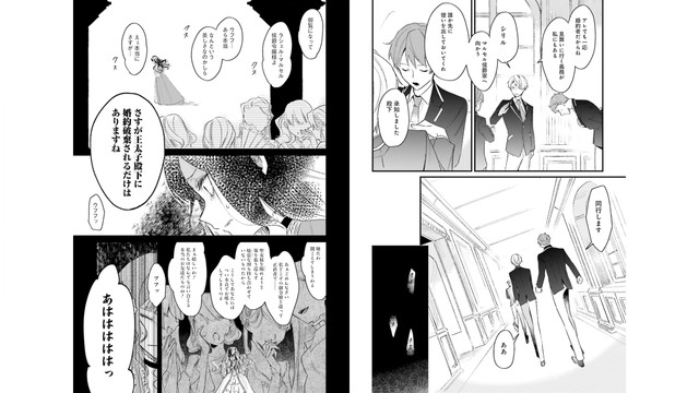 DLRAW-NET-013