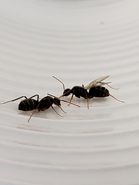 20180406 171044