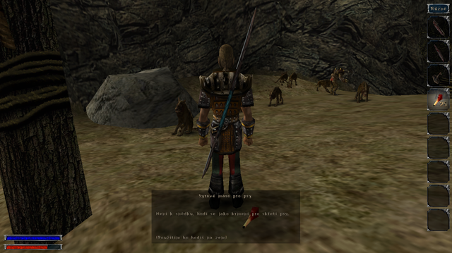 Walkthrough 66.png