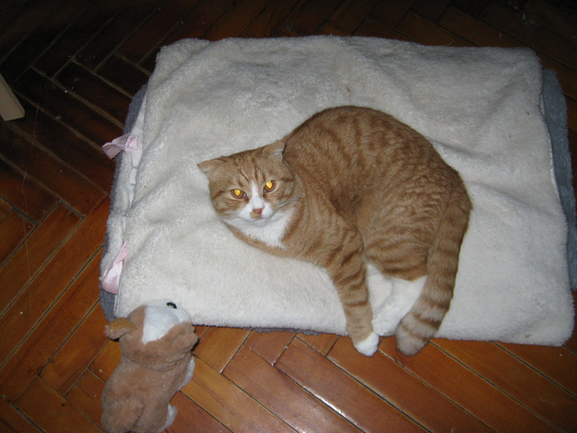 IMG-6134.jpg