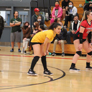 IMG-4240