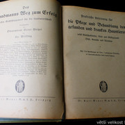 IMG-5386