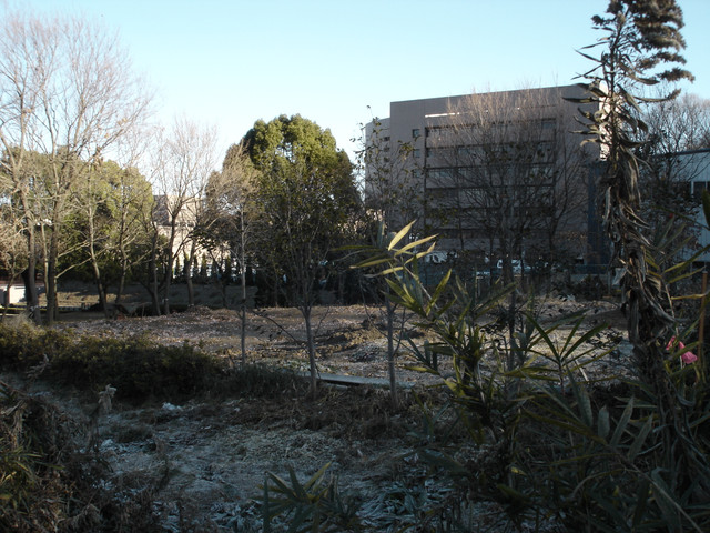 2012-01-06-123