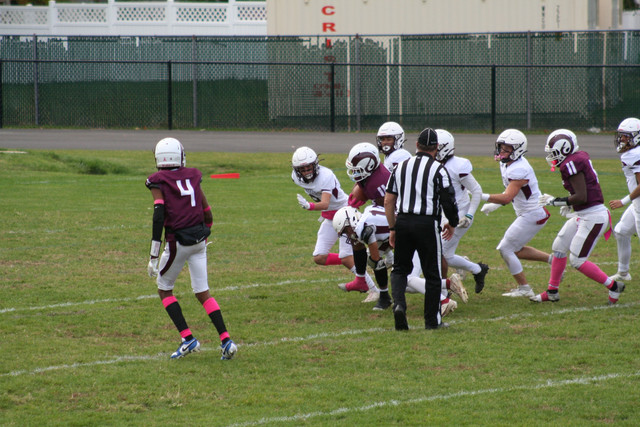 IMG-0008.jpg