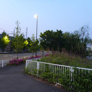 2017-05-01-006