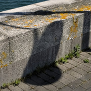 IMGP0097