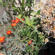 IMG-7562