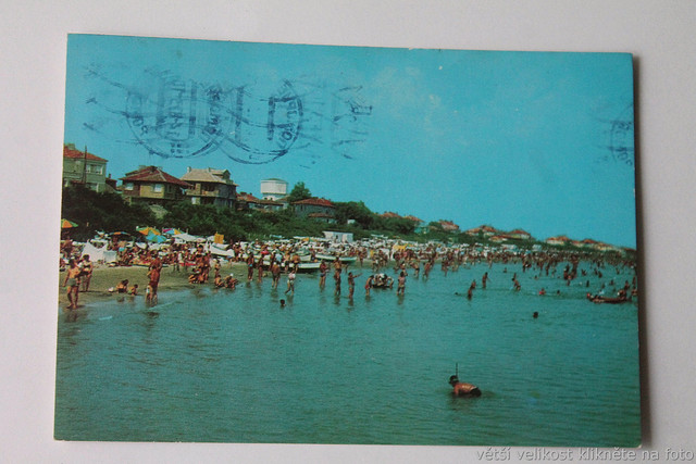 IMG-6427