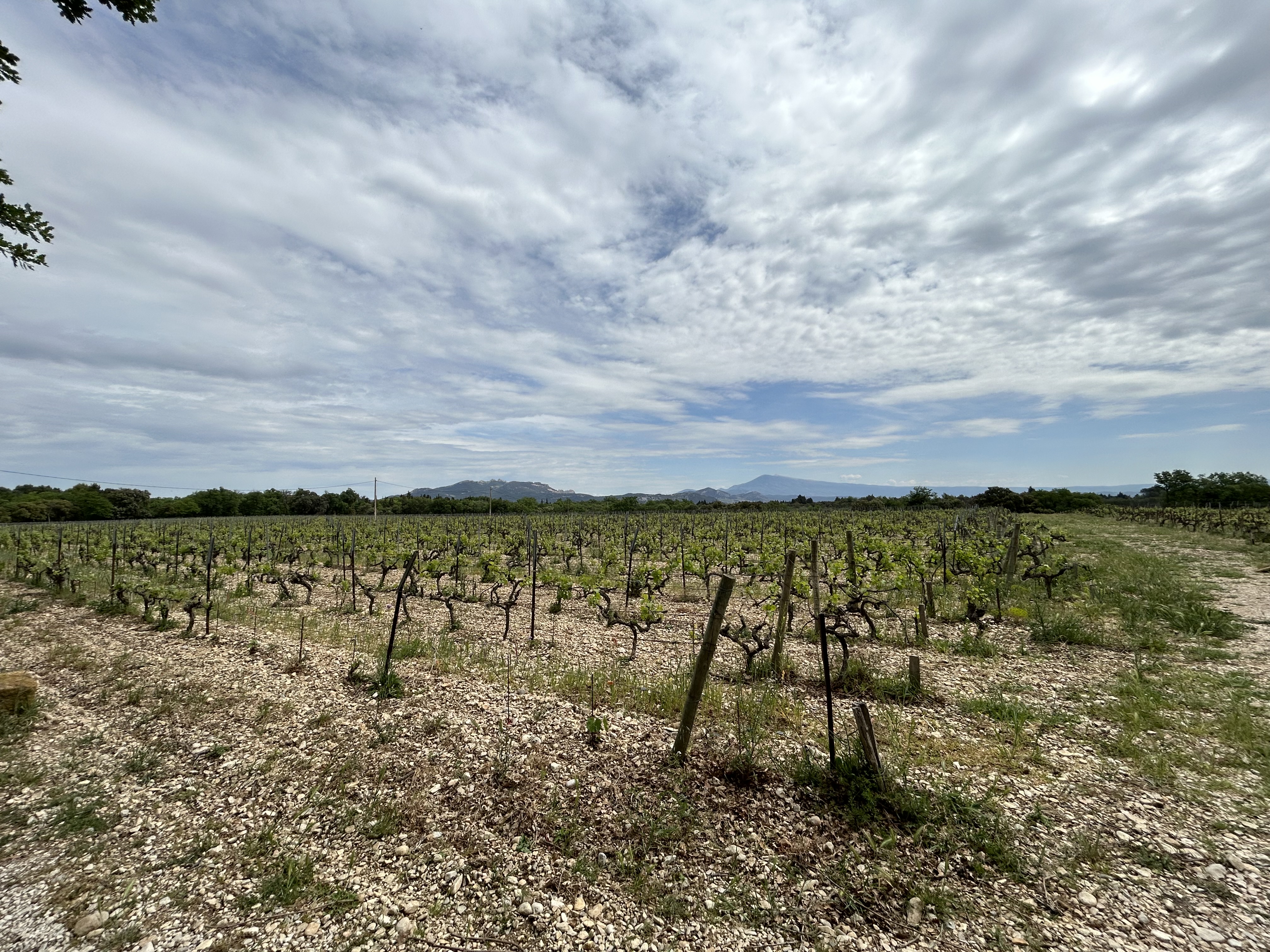 Domaine Montirius, vallée du Rhône