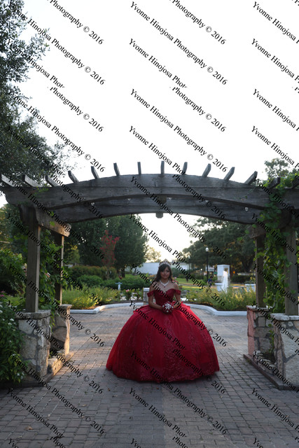 IMG 2655