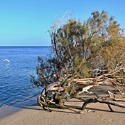 P1290059