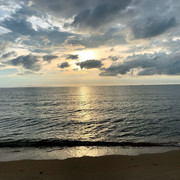 IMG-1529