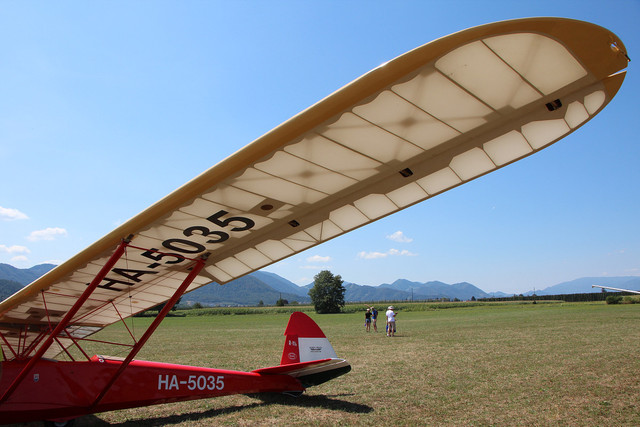 y-4303.jpg