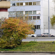 DSC7617