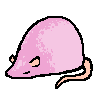 rat1076.png