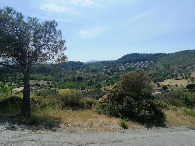 IMG-20220512-155003