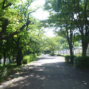 P1330450