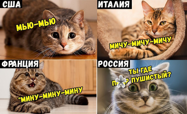 jhdgfour