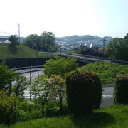 DSC-0022