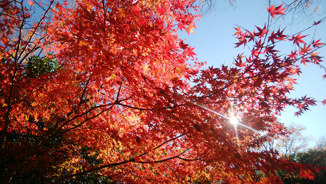IMG-20221125-101908