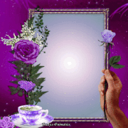 2.gif