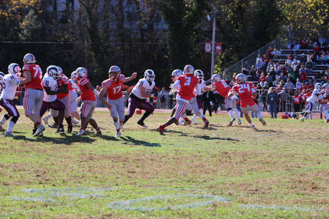 IMG-0676.jpg