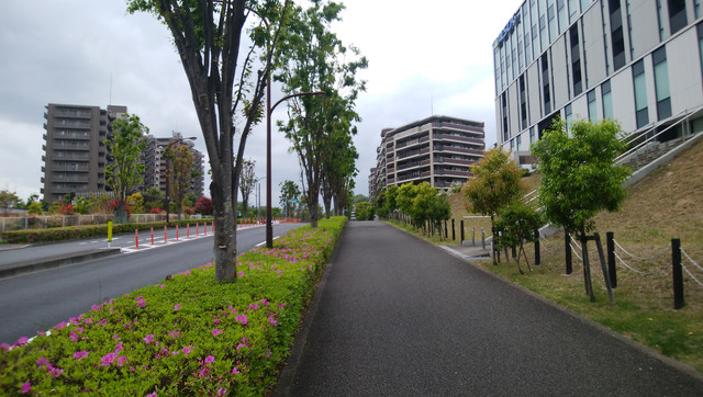 DSC-0015
