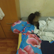 IMG-20211024-020420