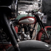 Enfield Professional Photo