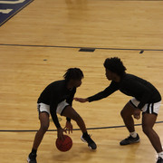 IMG-0008