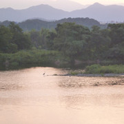 P1350187