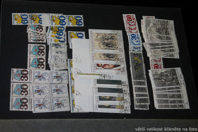 IMG-6885.jpg
