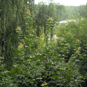 DSC5403-result