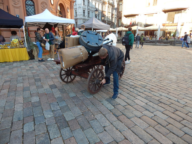 DSCN8380.jpg