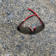 IMG 4435