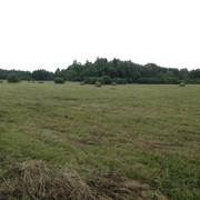 IMG-3965