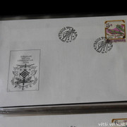 IMG-2499