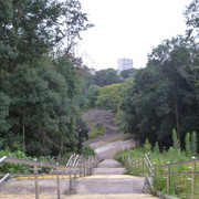 P1350356