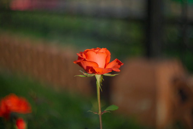img-2941