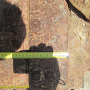 IMG-9456