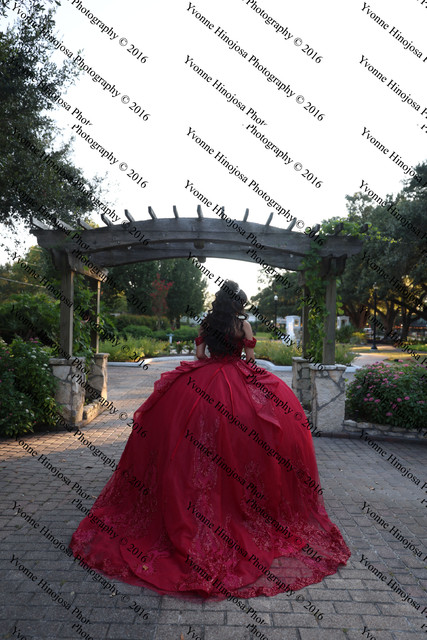IMG 2636