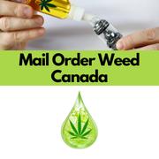 Main-Order-Weed-Canada-1