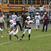 IMG-0321
