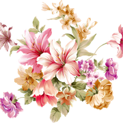 af71b681a4e959b6ca3a201dd250c14d