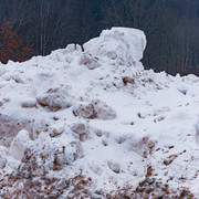 L1021424
