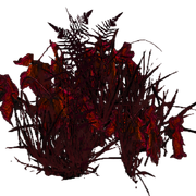 Carrion-Growth1